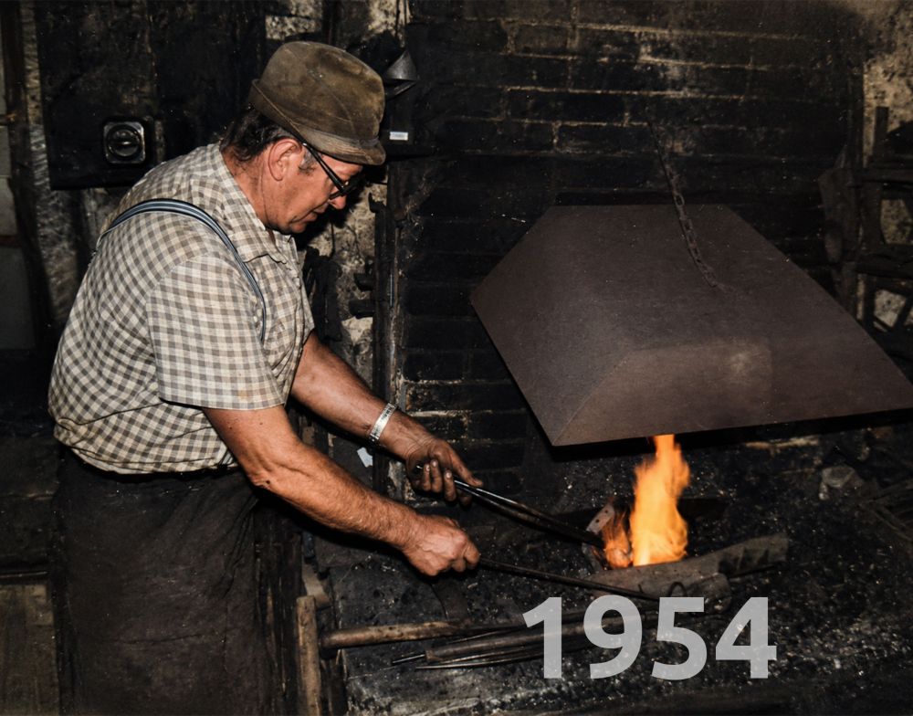 1954